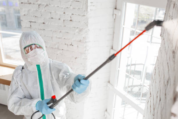 Insurance-Related Mold Remediation